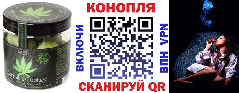 где купить наркоту  Южноуральск  MEGA маркетплейс  Cannafood марихуана 