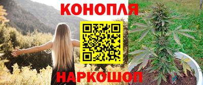 СК Донской