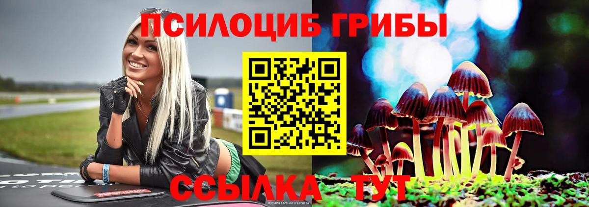 Галлюциногенные грибы MAGIC MUSHROOMS  Южноуральск  Псилоцибиновые грибы Cubensis 