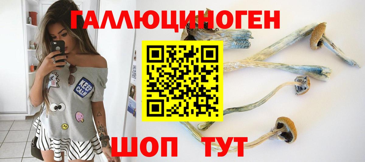 Галлюциногенные грибы Psilocybe  Вход с VPN  Южноуральск 