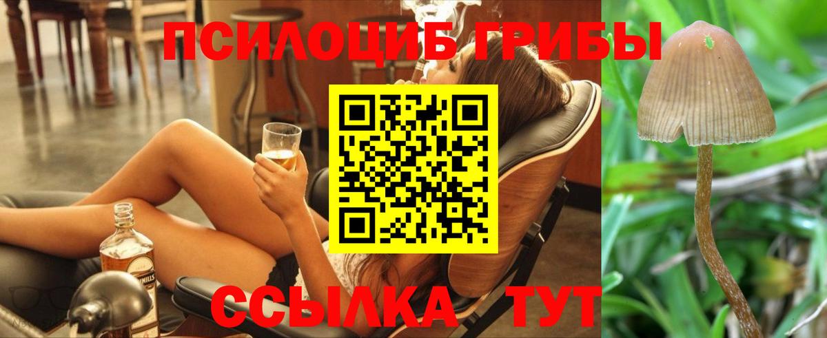 МЕФ Южноуральск